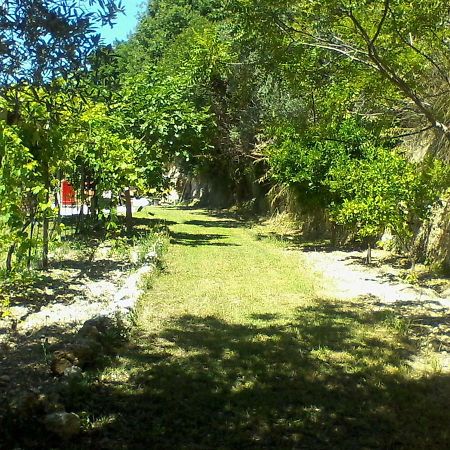 The Country Path B&B Toffia Esterno foto
