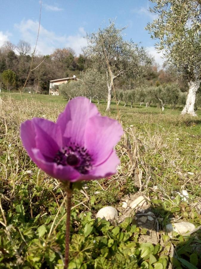 The Country Path B&B Toffia Esterno foto