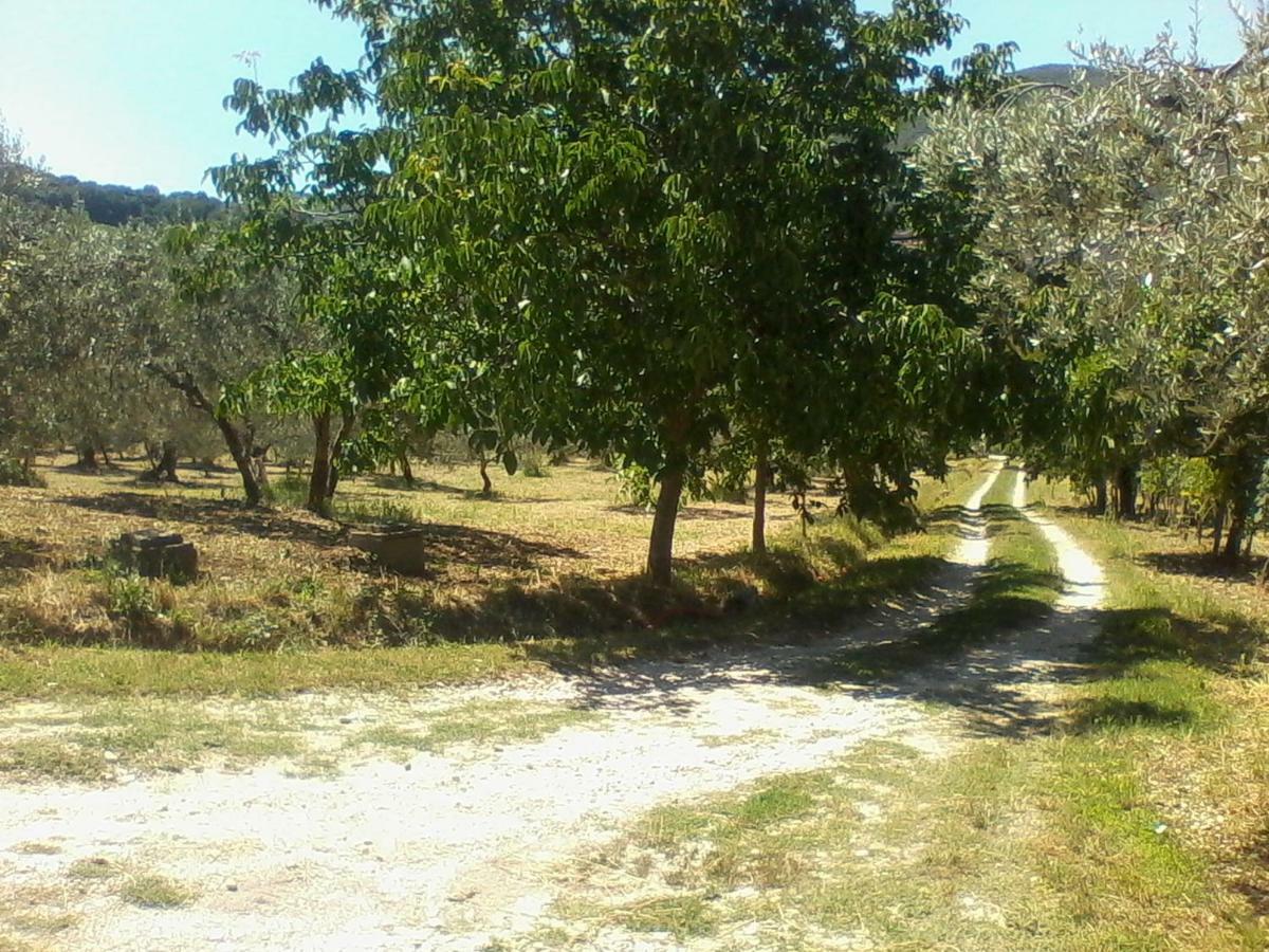 The Country Path B&B Toffia Esterno foto
