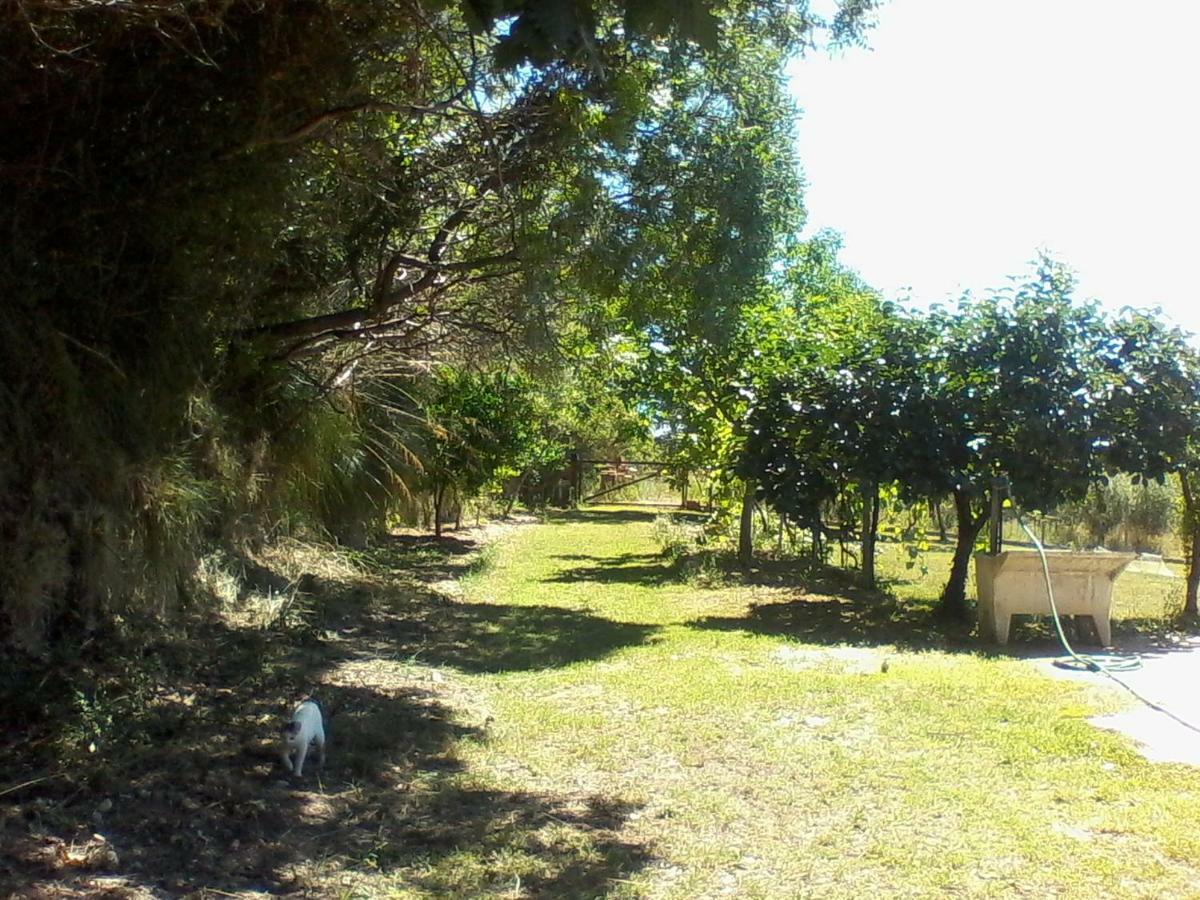 The Country Path B&B Toffia Esterno foto